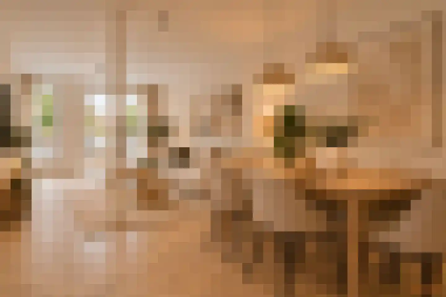 Dorpstraat 2 b Ulestraten thumbnail 4