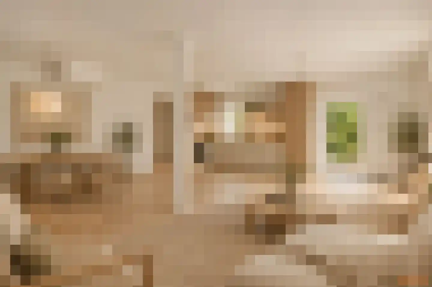 Dorpstraat 2 Ulestraten thumbnail 4