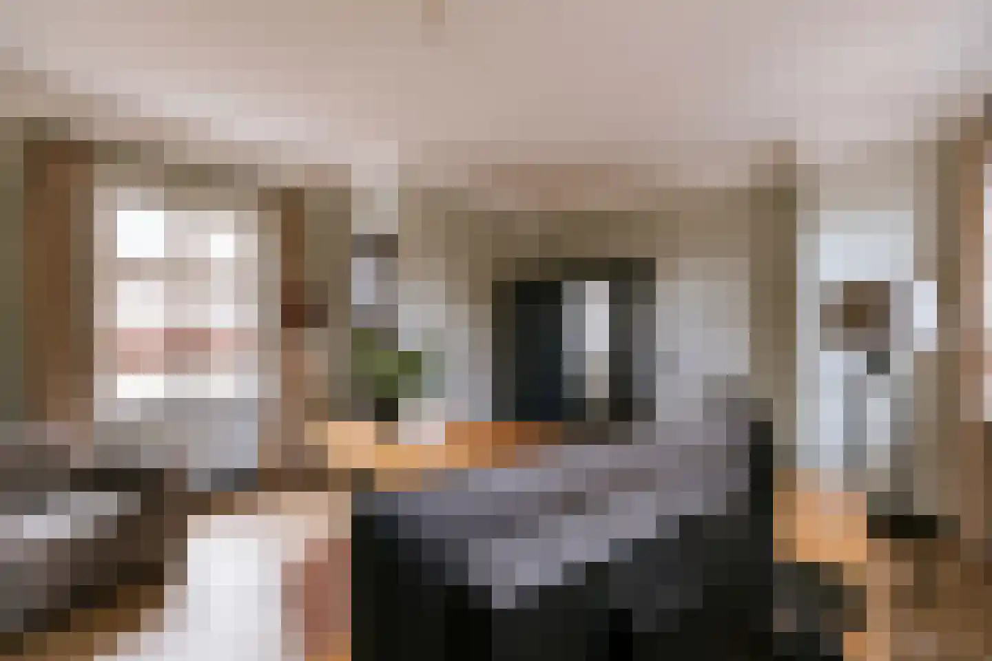 Dorpstraat 20 Beegden thumbnail 16
