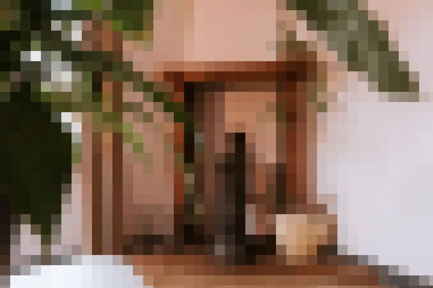 Dorpstraat 20 Beegden thumbnail 21