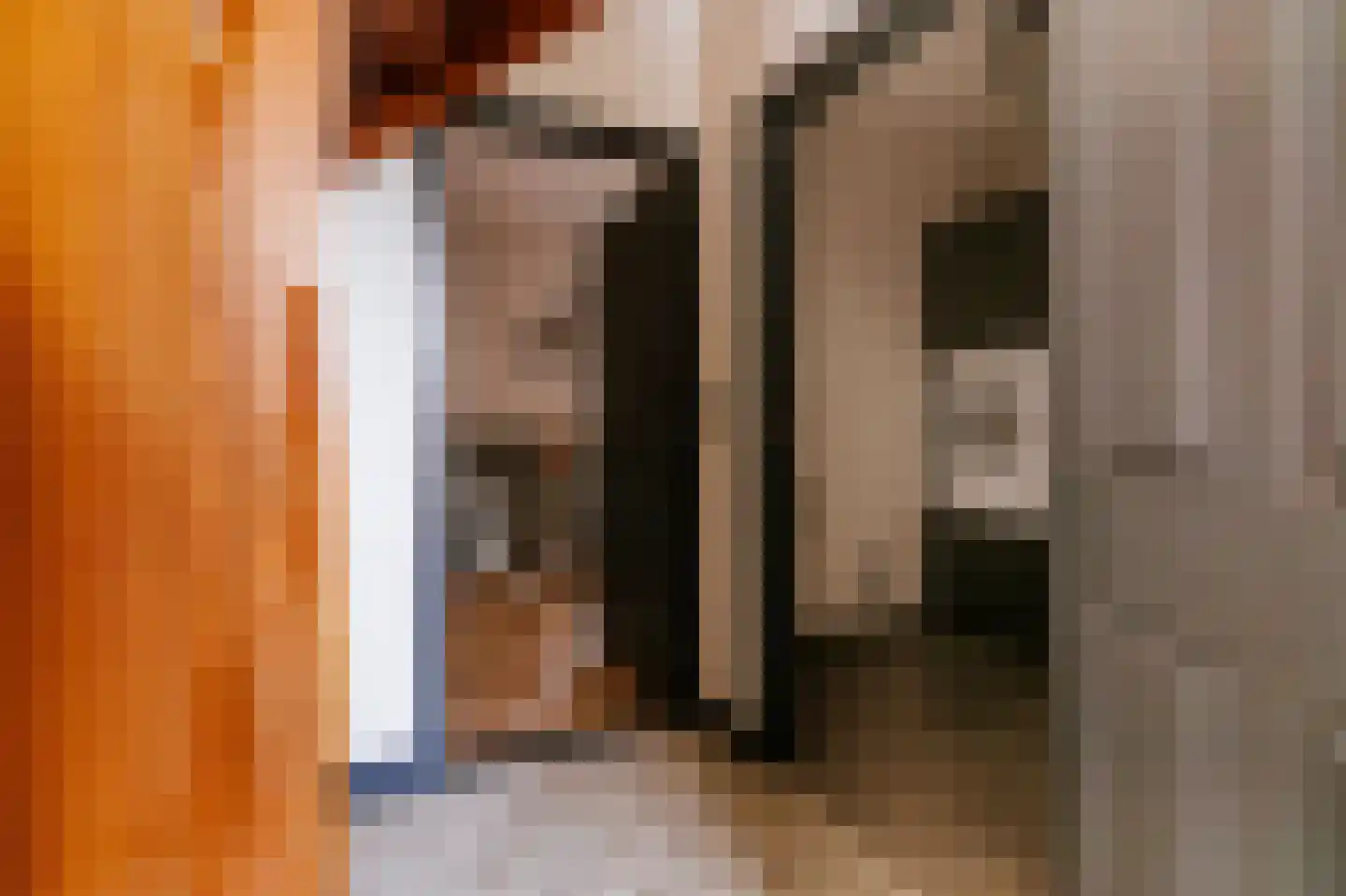 Dorpstraat 20 Beegden thumbnail 26
