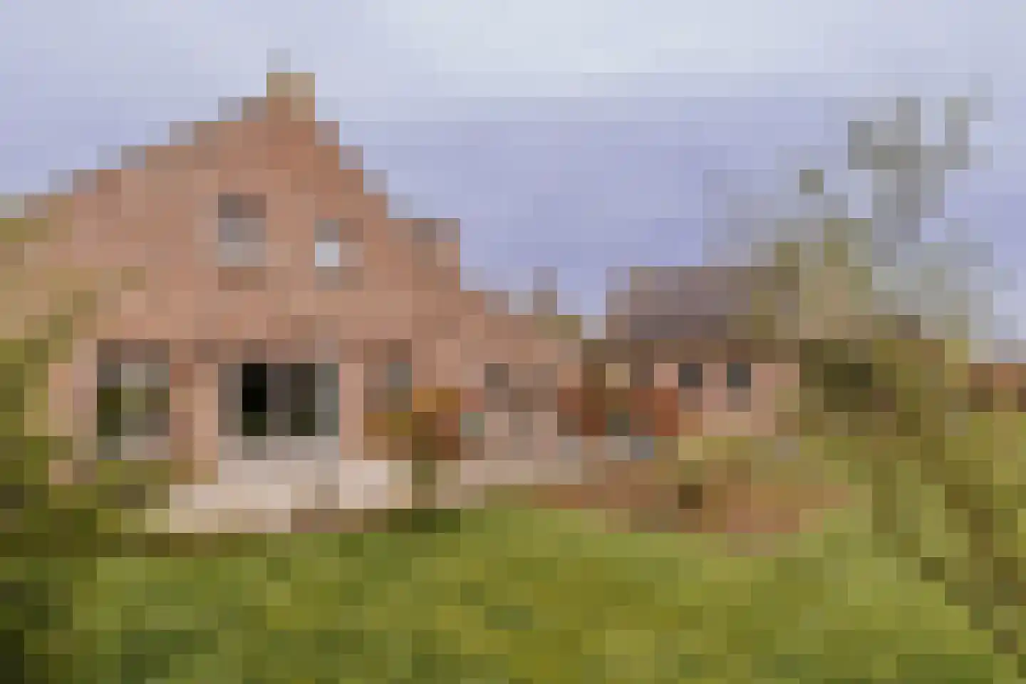 Dorpstraat 20 Beegden thumbnail 4