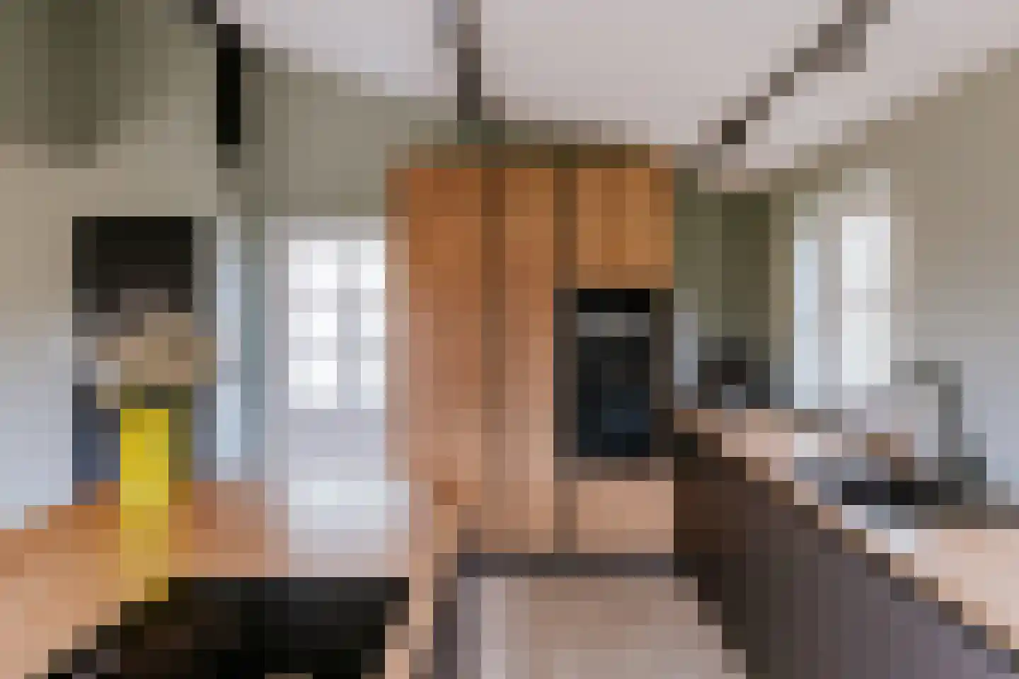 Dorpstraat 20 Beegden thumbnail 40