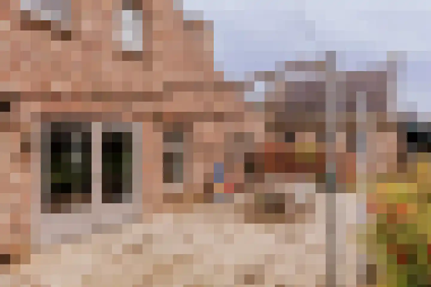 Dorpstraat 20 Beegden thumbnail 48
