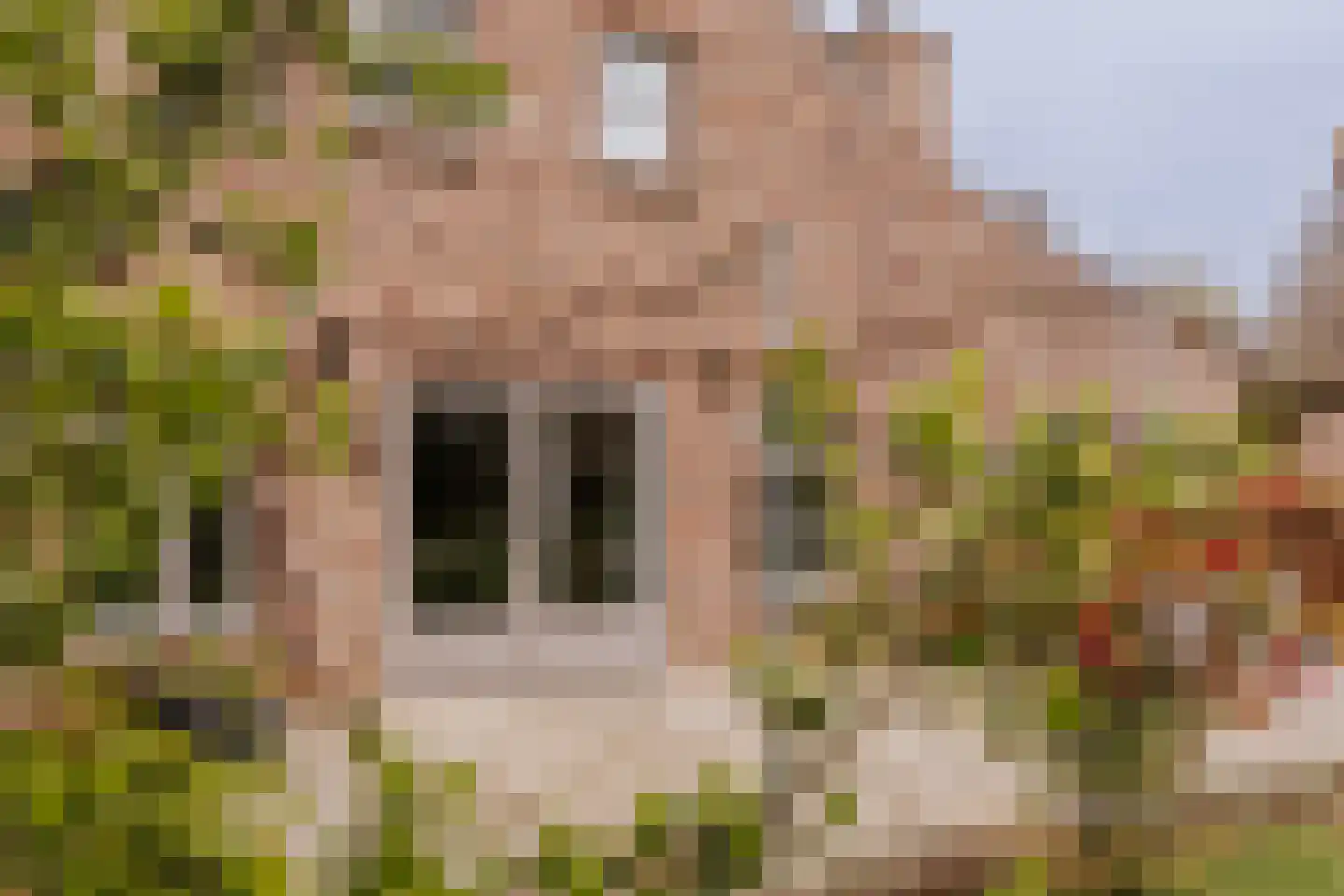 Dorpstraat 20 Beegden thumbnail 49