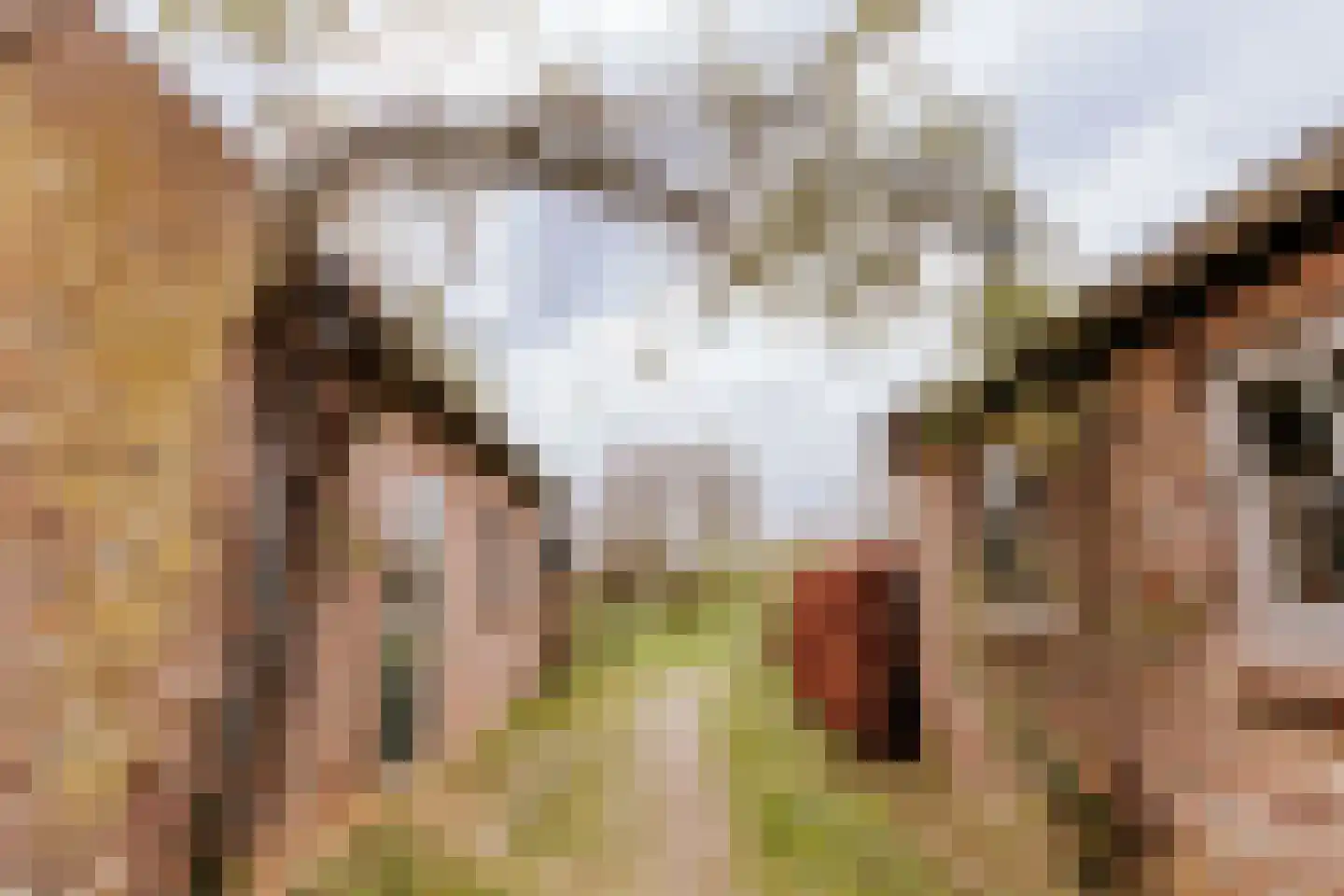 Dorpstraat 20 Beegden thumbnail 5