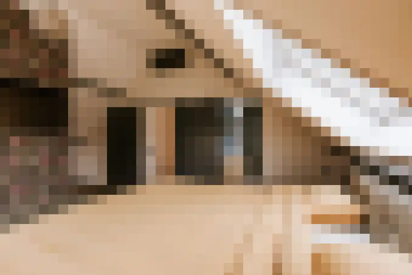 Dorpstraat 20 Beegden thumbnail 66