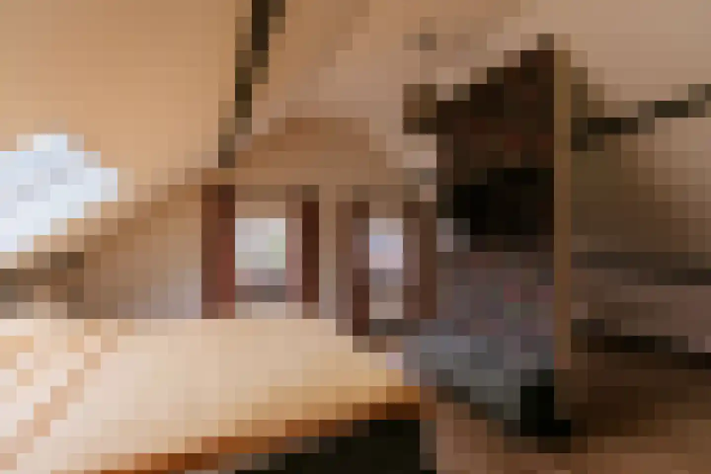 Dorpstraat 20 Beegden thumbnail 67