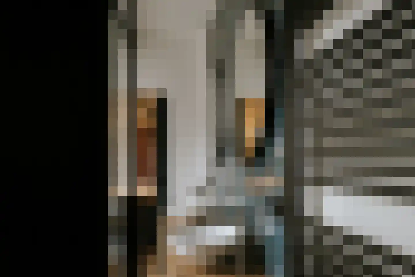 Dorpstraat 20 Beegden thumbnail 71