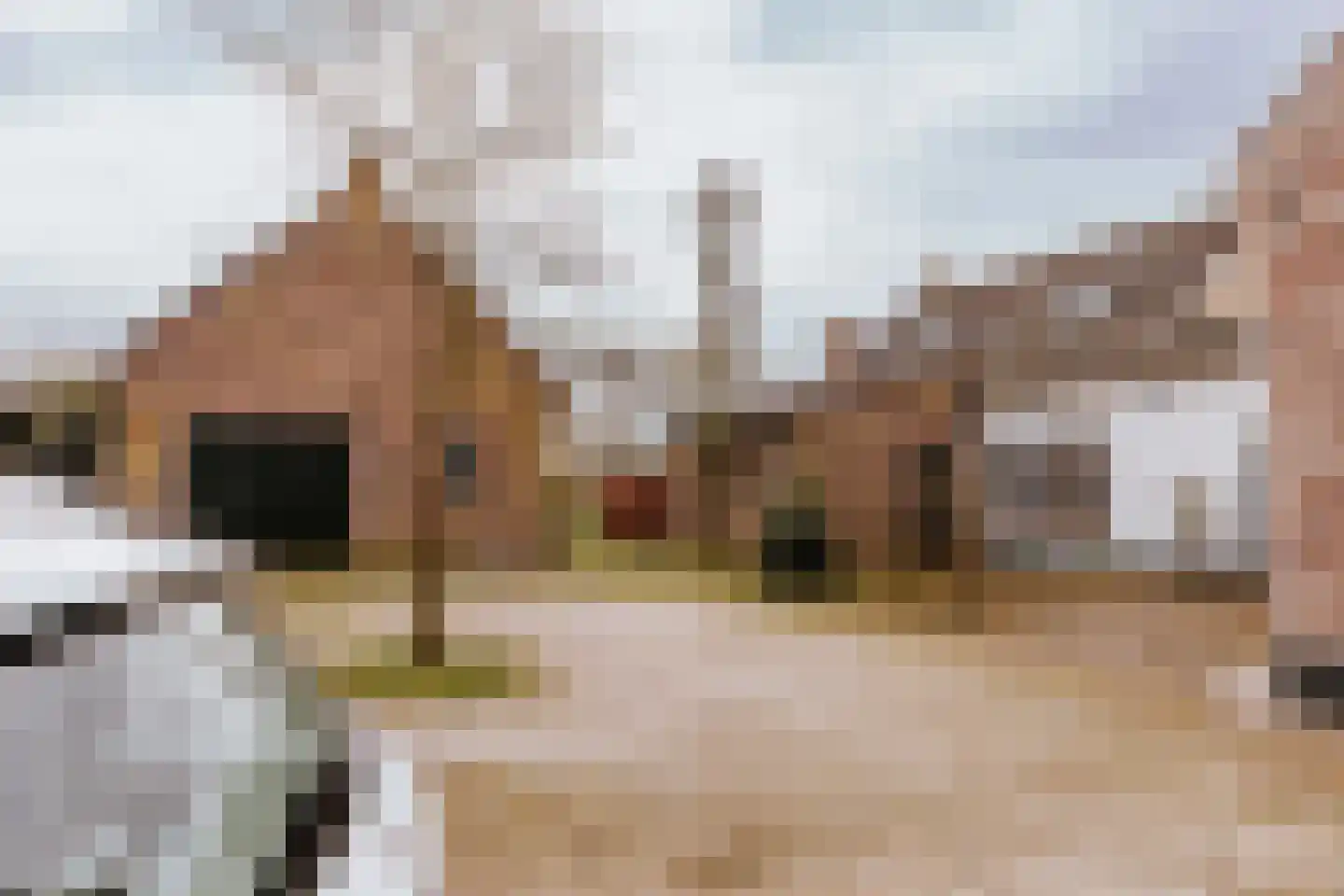 Dorpstraat 20 Beegden thumbnail 8