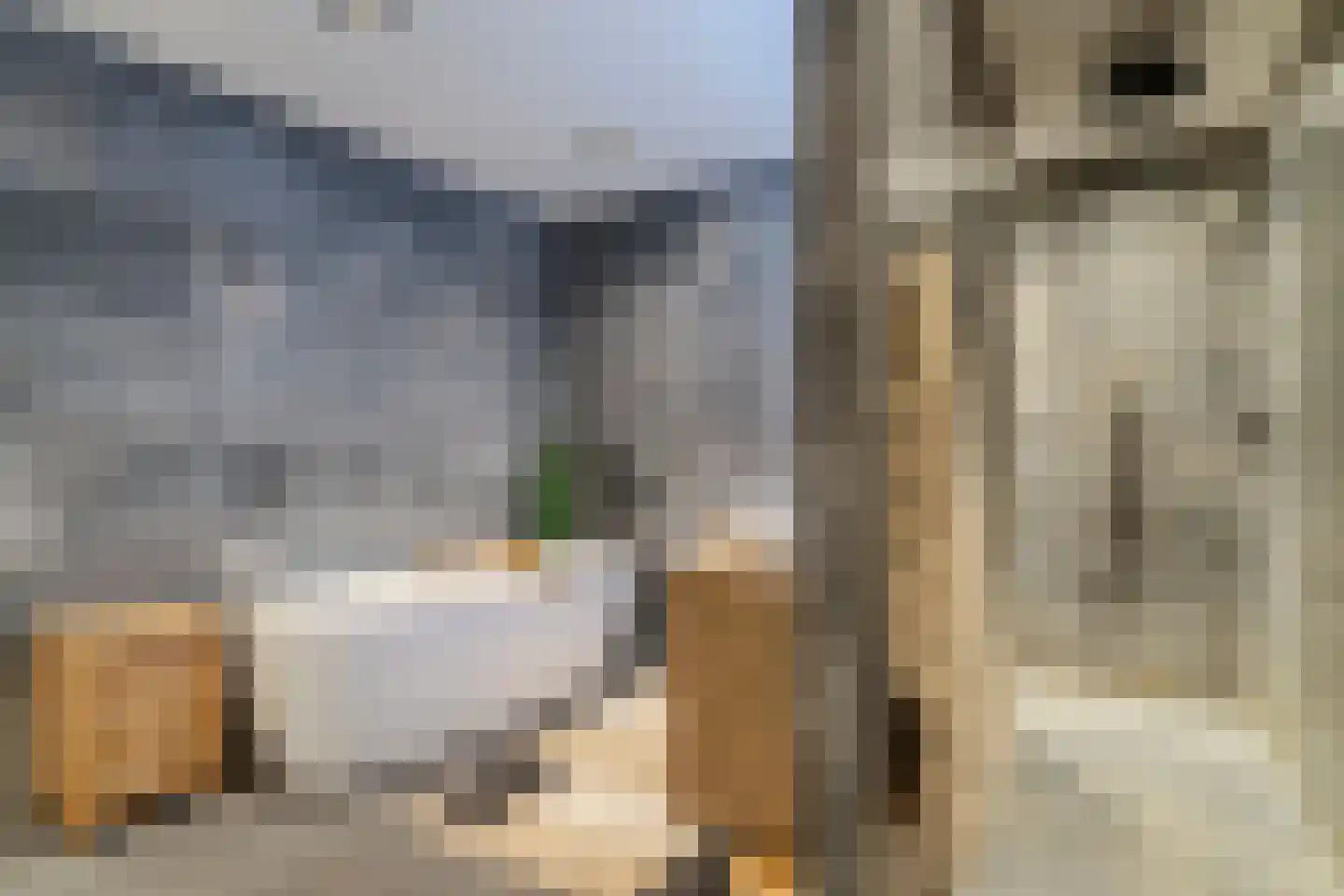 Dorpstraat 21 Leende thumbnail 14