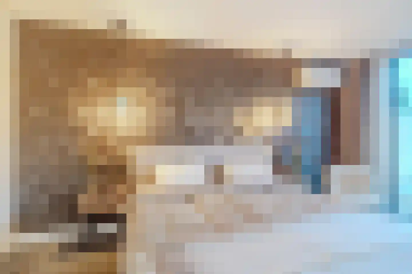 Dorpstraat 21 Leende thumbnail 18