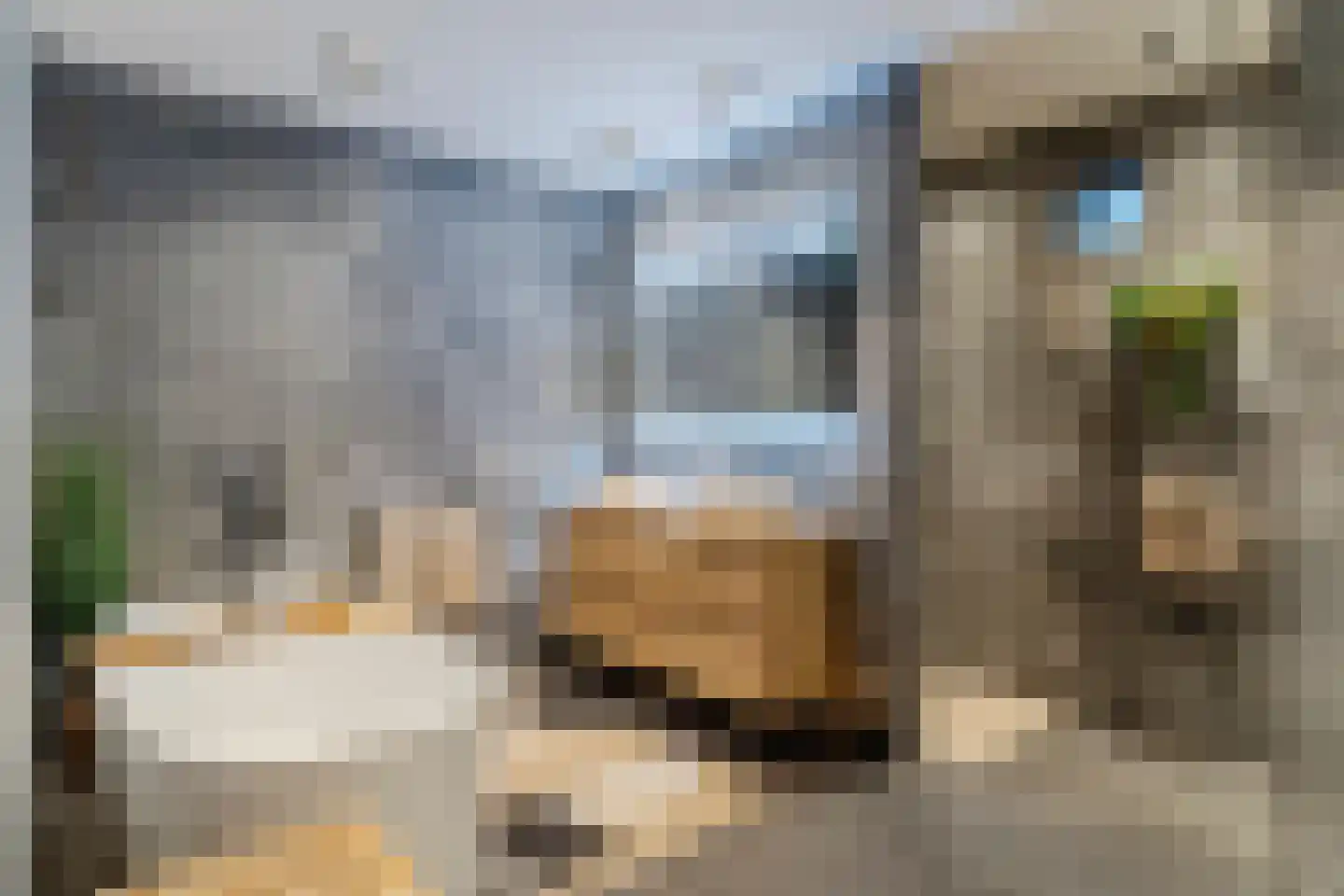 Dorpstraat 21 Leende thumbnail 19