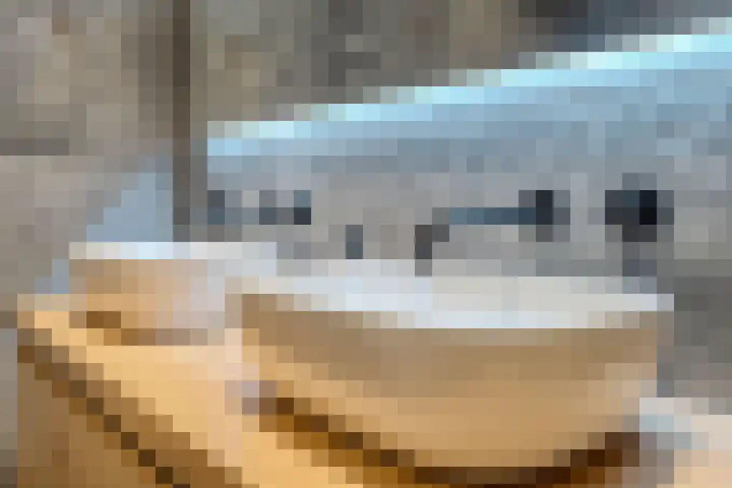 Dorpstraat 21 Leende thumbnail 21
