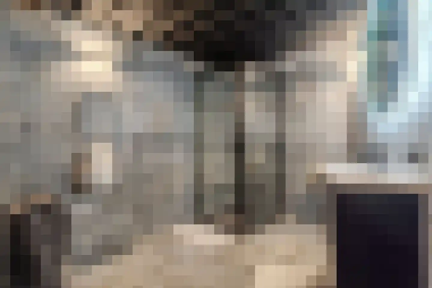 Dorpstraat 21 Leende thumbnail 22