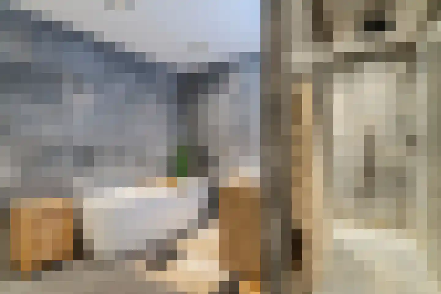 Dorpstraat 21 Leende thumbnail 23