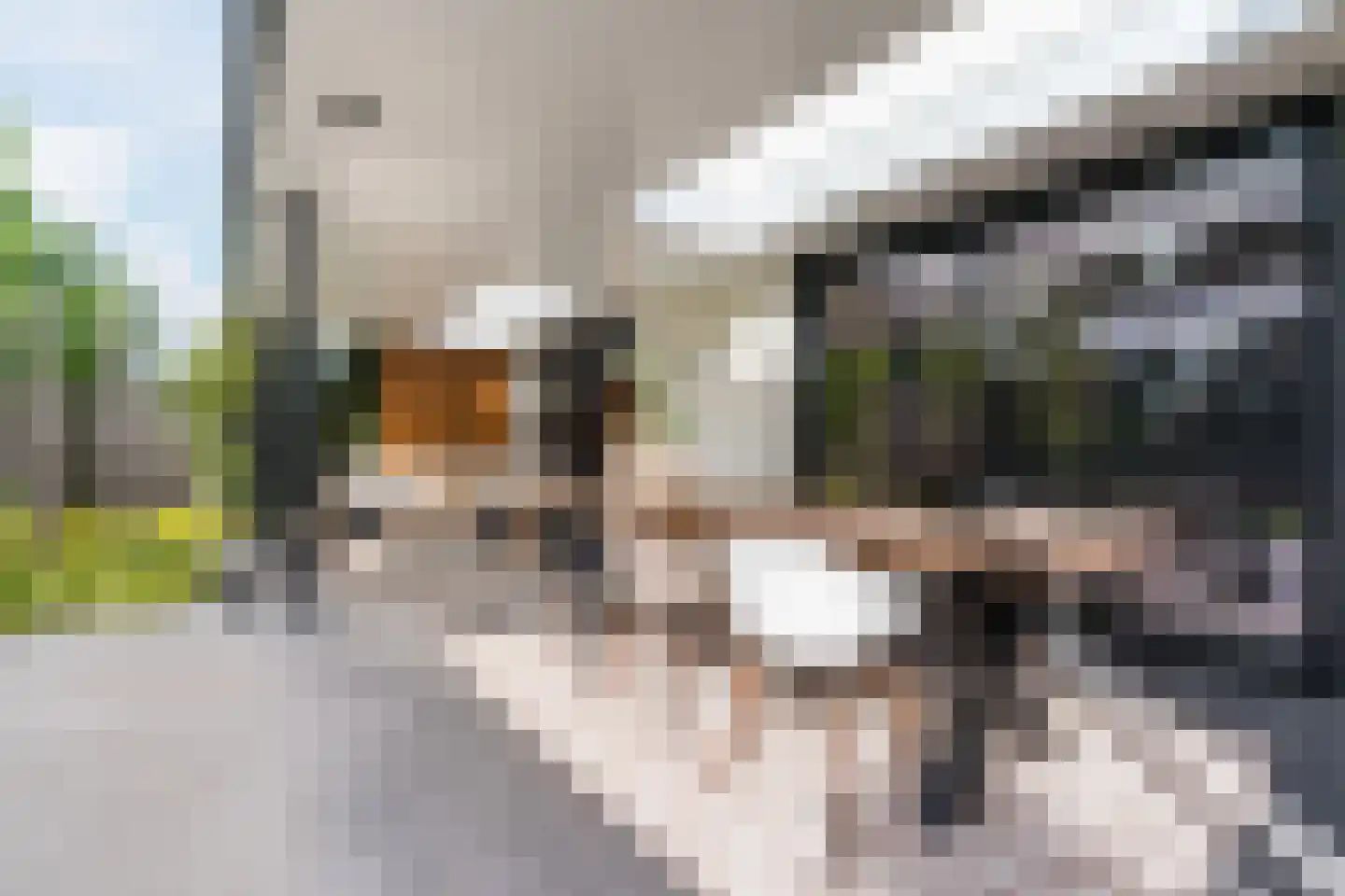 Dorpstraat 21 Leende thumbnail 29