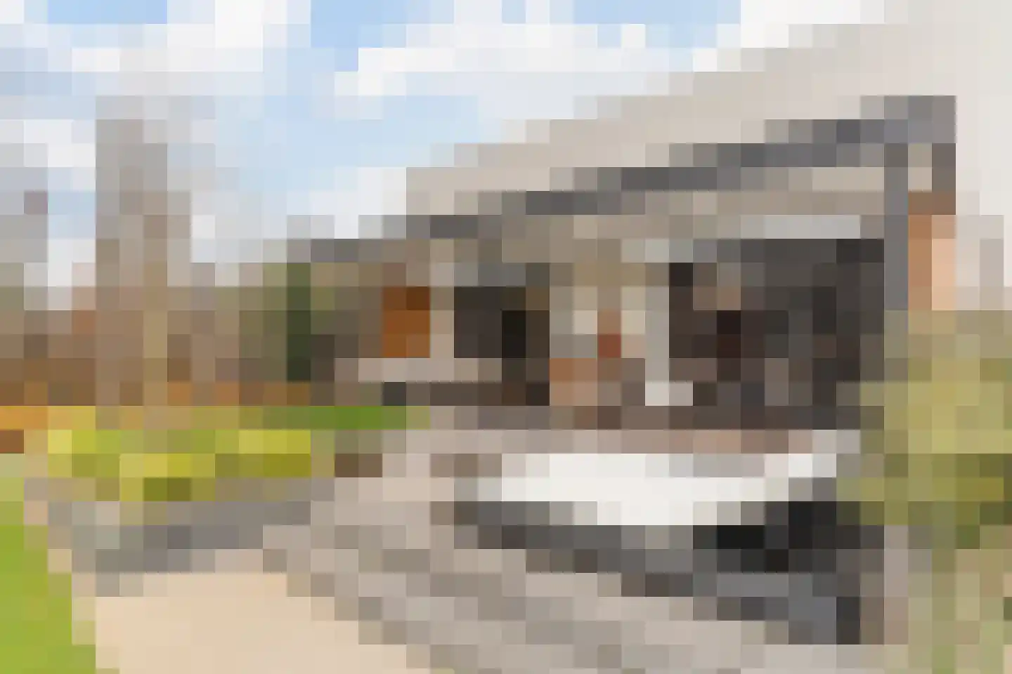 Dorpstraat 21 Leende thumbnail 35