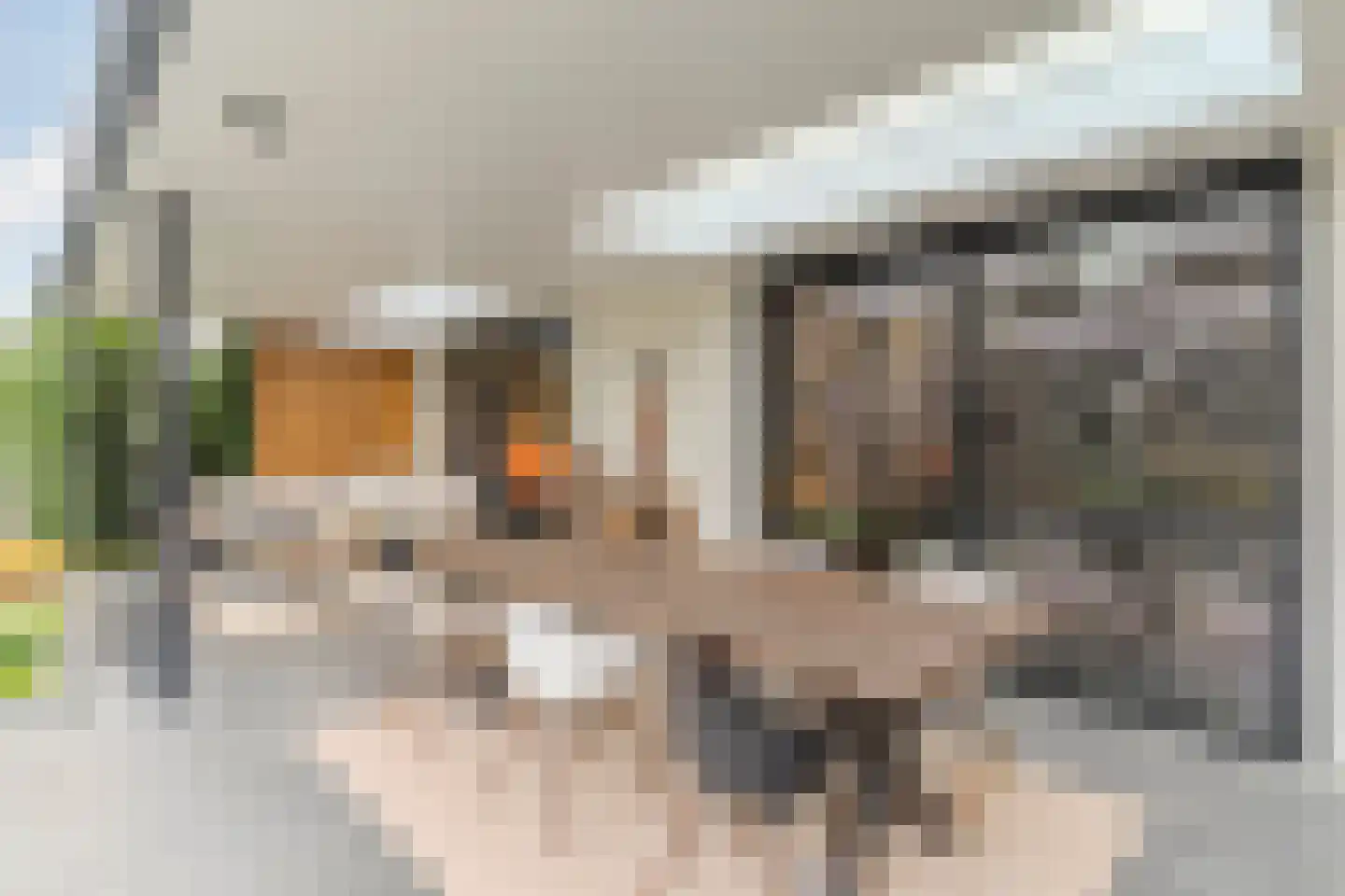 Dorpstraat 21 Leende thumbnail 37