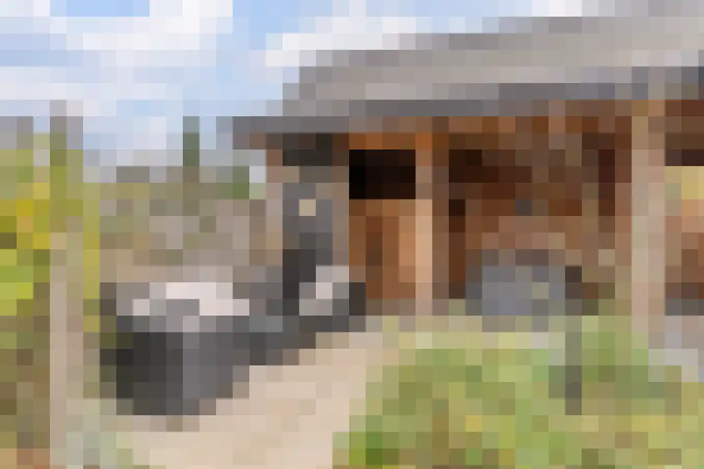 Dorpstraat 21 Leende thumbnail 38