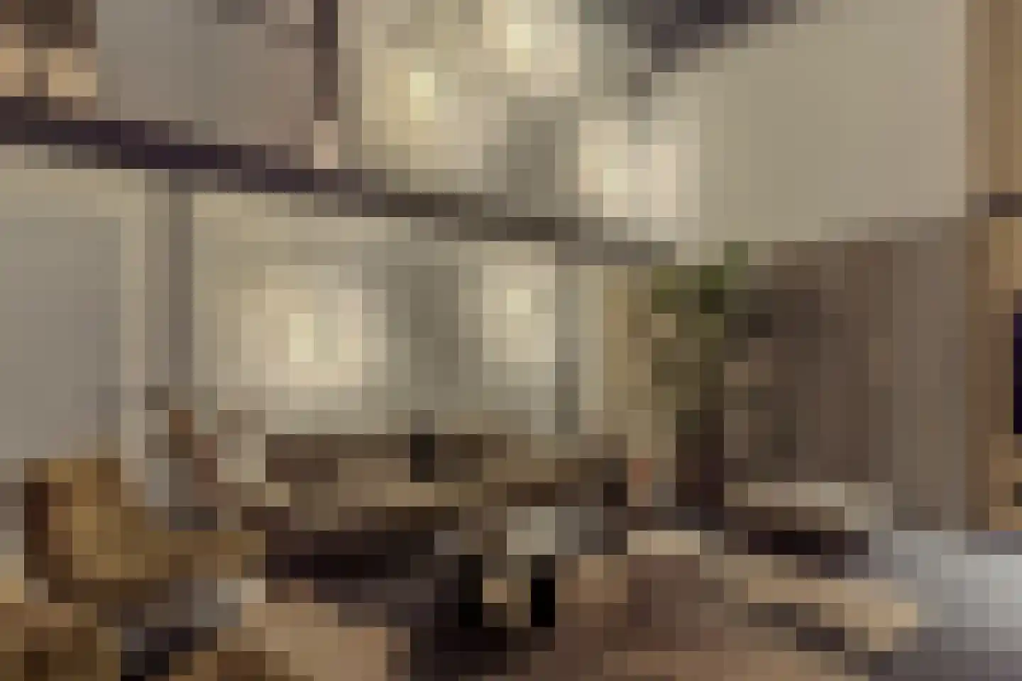 Dorpstraat 21 Leende thumbnail 43