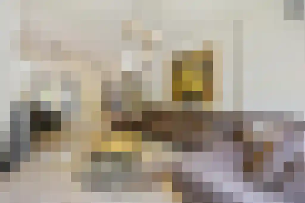Dorpstraat 21 Sittard thumbnail 11