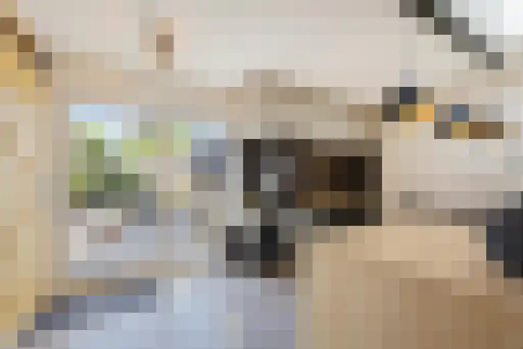 Dorpstraat 21 Sittard thumbnail 25