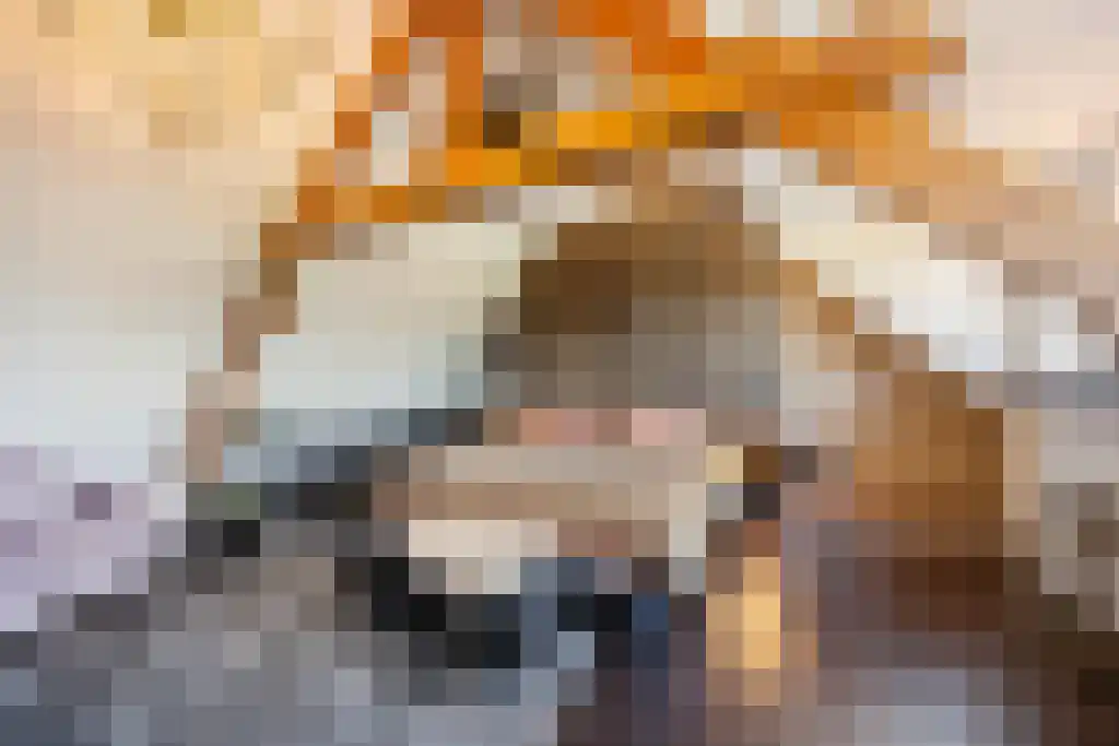 Dorpstraat 21 Sittard thumbnail 39