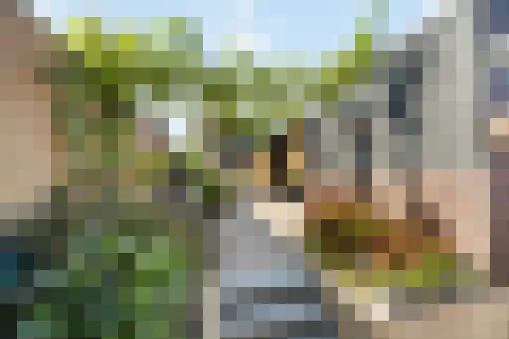 Dorpstraat 21 Sittard thumbnail 47