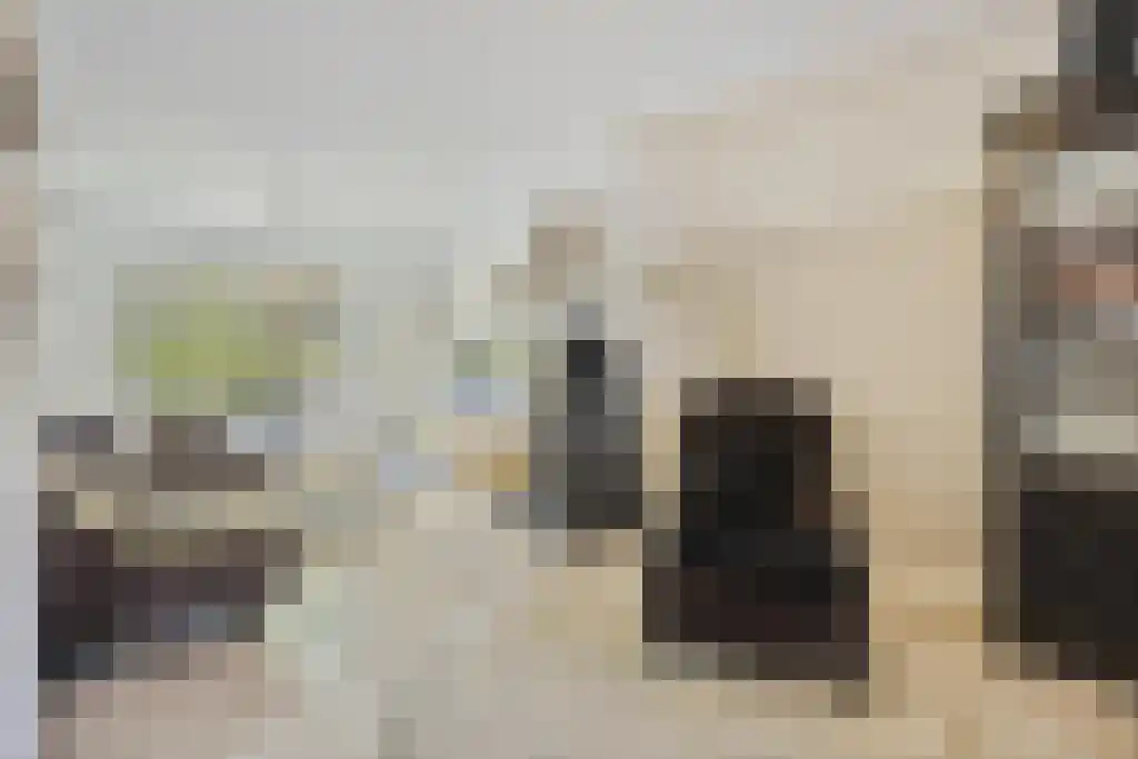 Dorpstraat 21 Sittard thumbnail 8