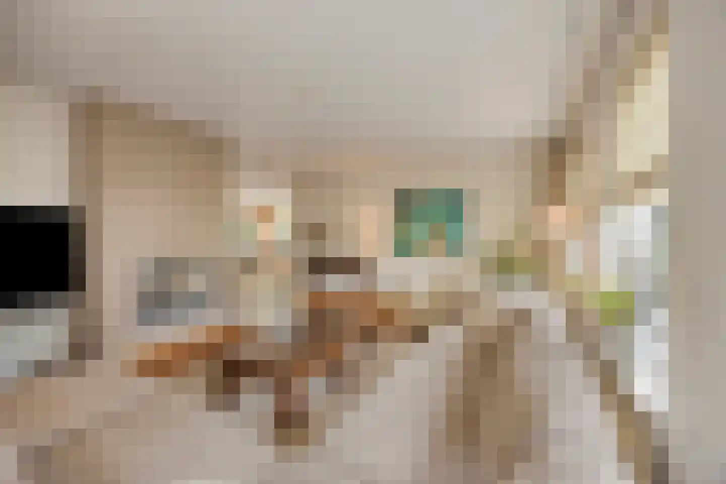 Dorpstraat 22 A Veldhoven thumbnail 13