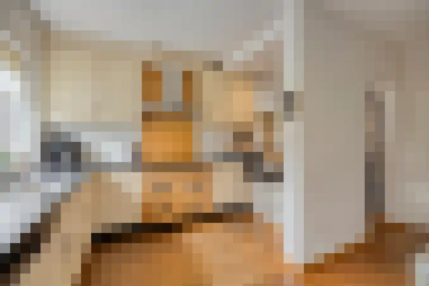 Dorpstraat 22 A Veldhoven thumbnail 21