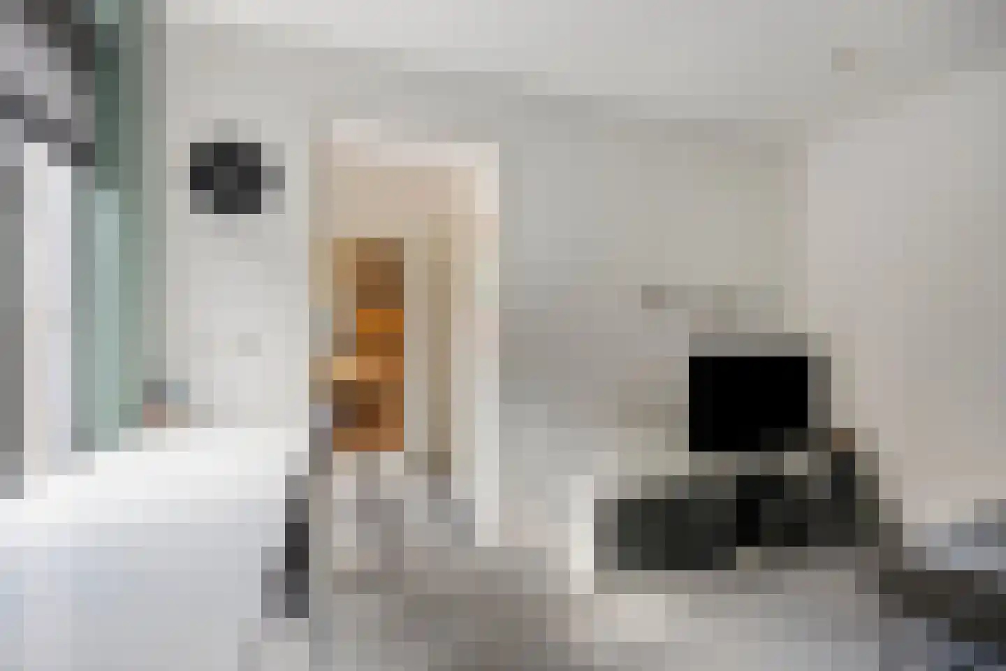 Dorpstraat 22 A Veldhoven thumbnail 25