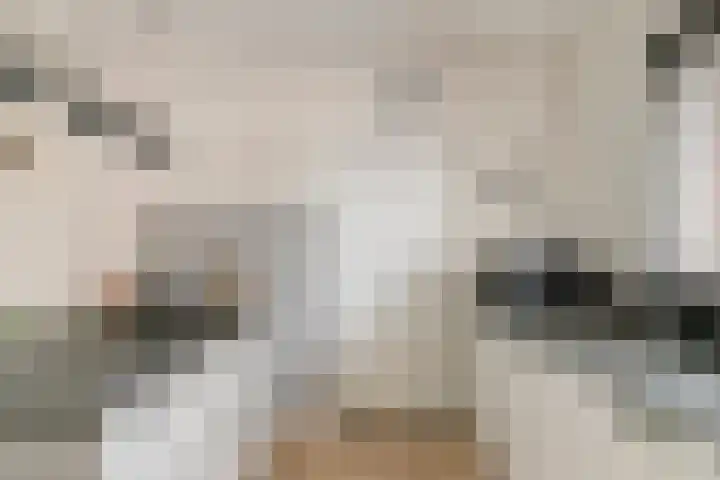 Dorpstraat 23 Geijsteren thumbnail 10