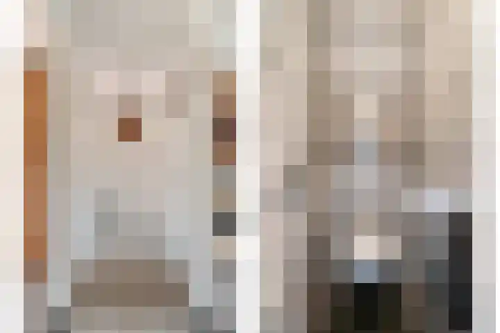 Dorpstraat 23 Geijsteren thumbnail 15