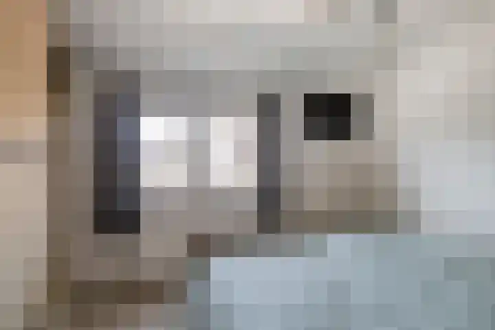 Dorpstraat 23 Geijsteren thumbnail 16