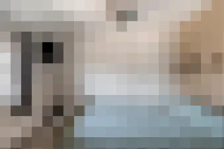 Dorpstraat 23 Geijsteren thumbnail 17