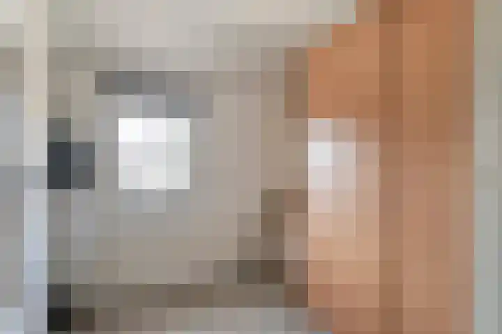 Dorpstraat 23 Geijsteren thumbnail 21