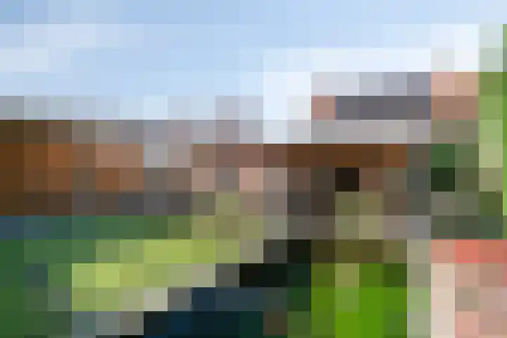 Dorpstraat 23 Geijsteren thumbnail 22