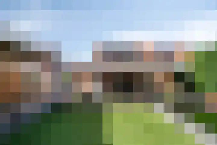 Dorpstraat 23 Geijsteren thumbnail 23