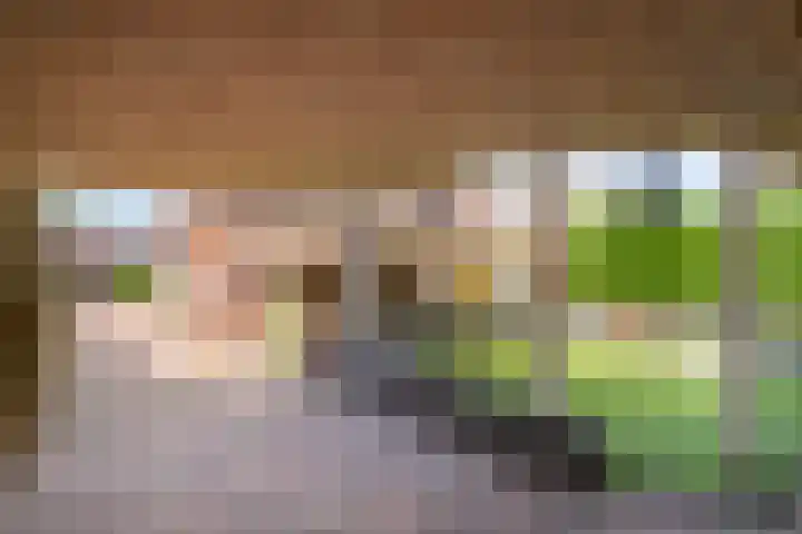 Dorpstraat 23 Geijsteren thumbnail 24