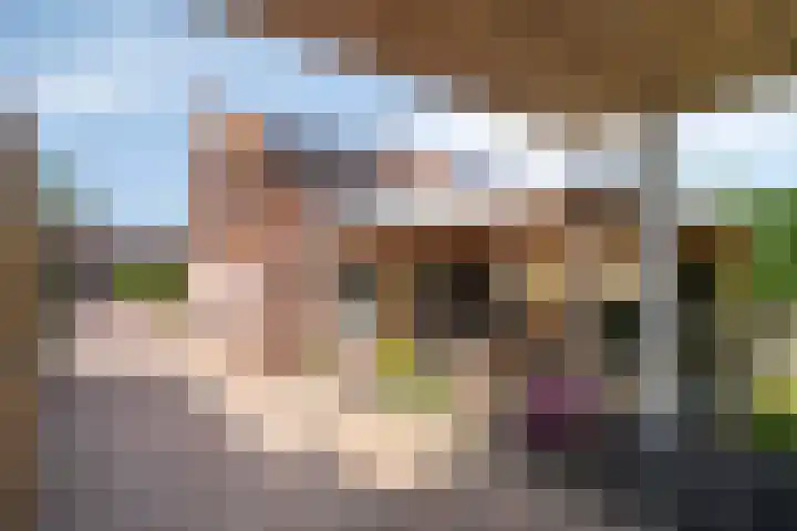Dorpstraat 23 Geijsteren thumbnail 25