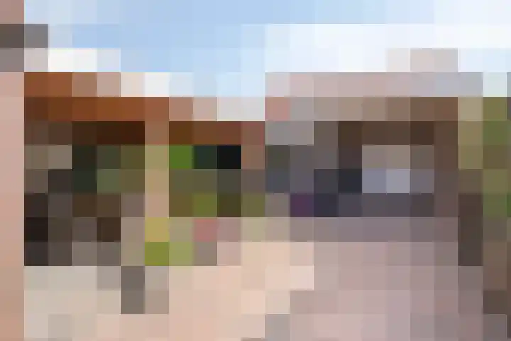 Dorpstraat 23 Geijsteren thumbnail 26