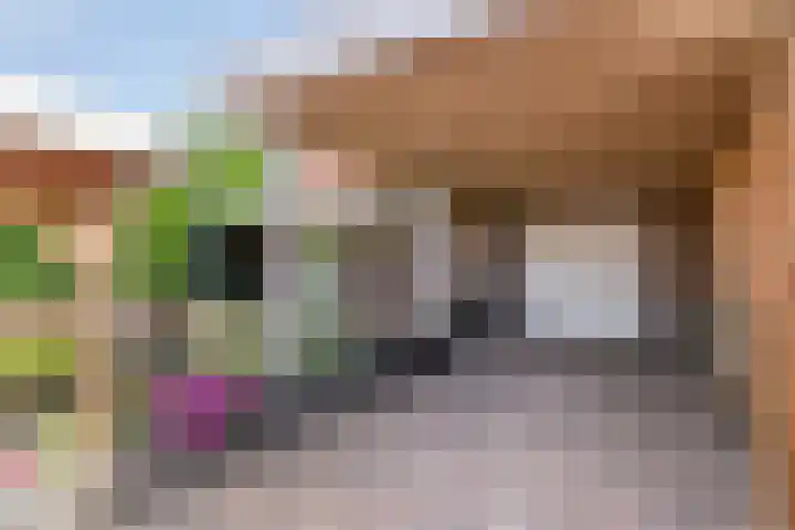 Dorpstraat 23 Geijsteren thumbnail 27
