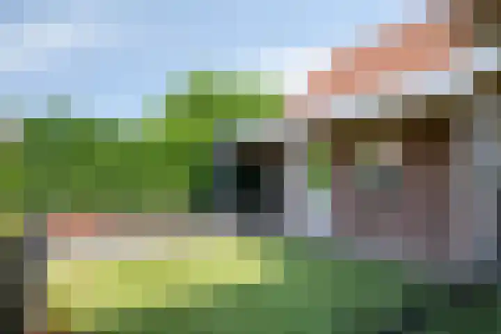 Dorpstraat 23 Geijsteren thumbnail 28