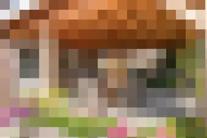 Dorpstraat 23 Geijsteren thumbnail 29