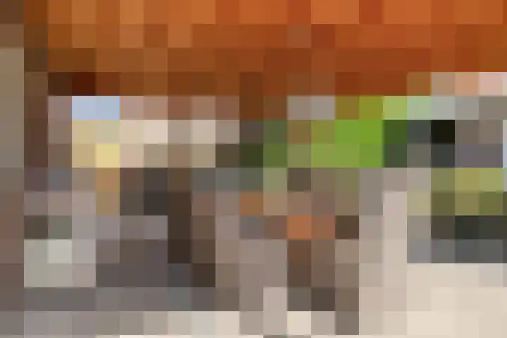 Dorpstraat 23 Geijsteren thumbnail 30