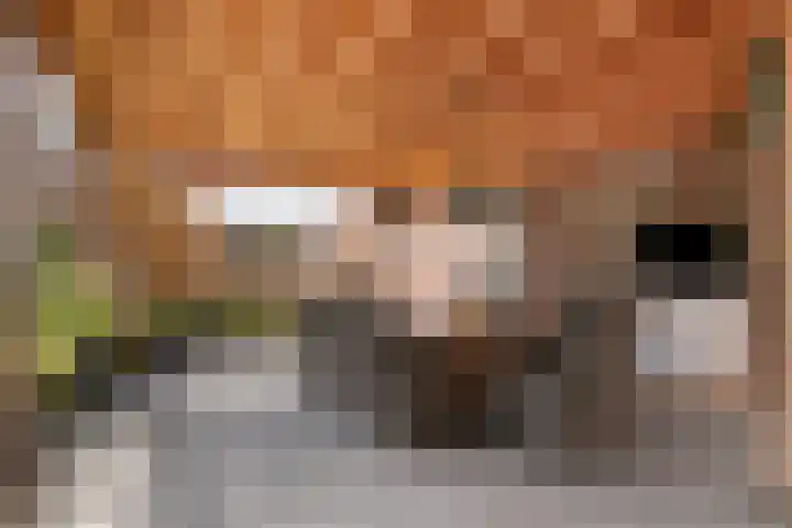 Dorpstraat 23 Geijsteren thumbnail 31