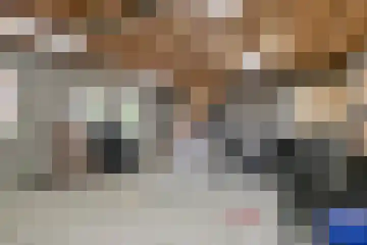 Dorpstraat 23 Geijsteren thumbnail 32