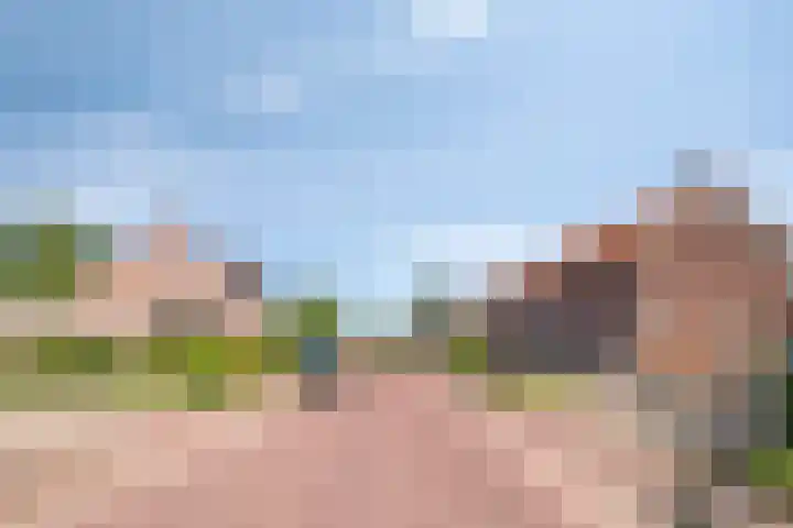 Dorpstraat 23 Geijsteren thumbnail 36
